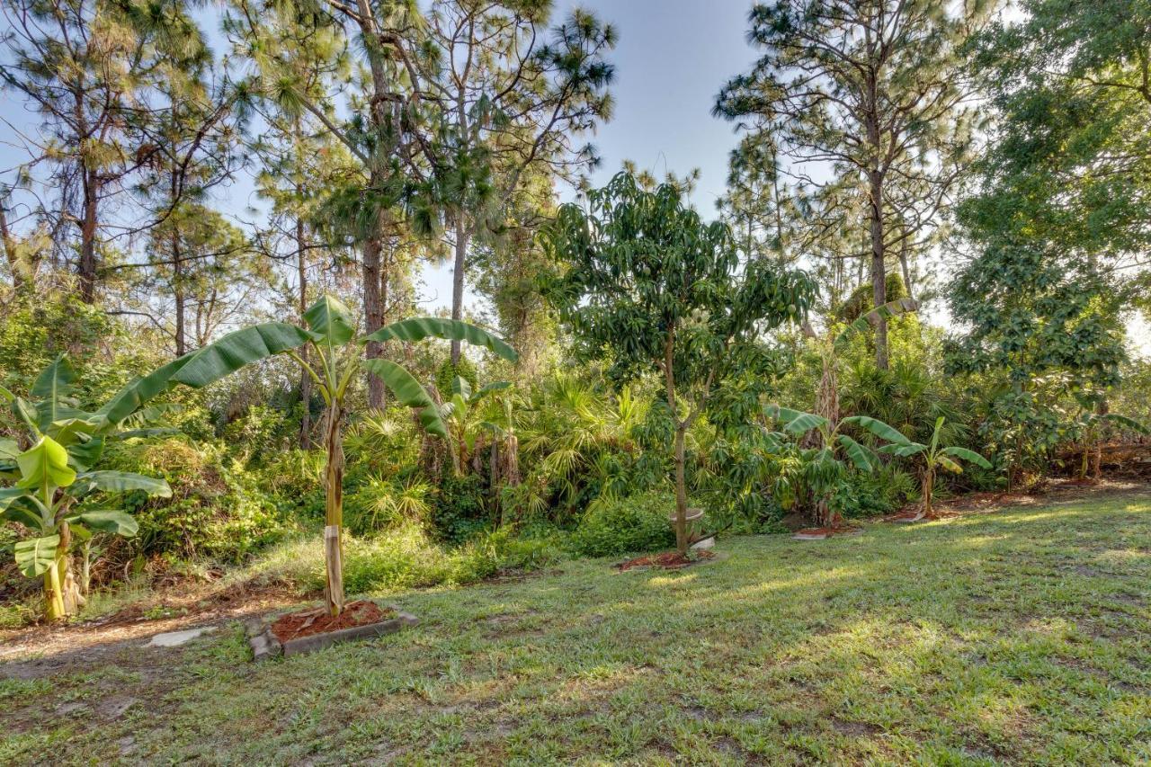 Spacious Orland Home With Private Pool! Ορλάντο Εξωτερικό φωτογραφία
